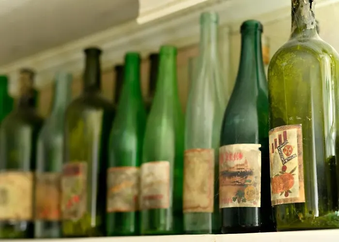 Case de vacanță Chamurkov *