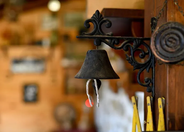 Chamurkov * Veliko Tărnovo