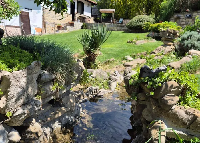 Chamurkov * Veliko Tărnovo